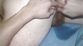 Nhấn chó của bạn bằn ...