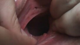 Người phục vụ không  ...