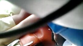 Một màu xám chuột ti ...